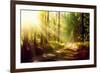 Beautiful Scene Misty Old Forest with Sun Rays, Shadows and Fog-Subbotina Anna-Framed Photographic Print