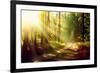 Beautiful Scene Misty Old Forest with Sun Rays, Shadows and Fog-Subbotina Anna-Framed Photographic Print