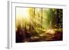 Beautiful Scene Misty Old Forest with Sun Rays, Shadows and Fog-Subbotina Anna-Framed Photographic Print