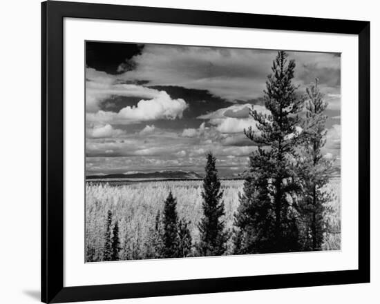 Beautiful Scene of the Countryside as Seen from the Alcan Highway-J^ R^ Eyerman-Framed Photographic Print