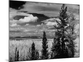 Beautiful Scene of the Countryside as Seen from the Alcan Highway-J^ R^ Eyerman-Mounted Photographic Print