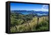 Beautiful Scenery around Akaroa Harbour-Michael-Framed Stretched Canvas