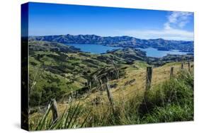 Beautiful Scenery around Akaroa Harbour-Michael-Stretched Canvas