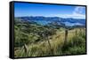 Beautiful Scenery around Akaroa Harbour-Michael-Framed Stretched Canvas