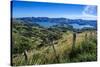 Beautiful Scenery around Akaroa Harbour-Michael-Stretched Canvas