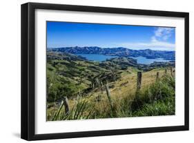 Beautiful Scenery around Akaroa Harbour-Michael-Framed Photographic Print