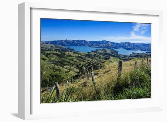 Beautiful Scenery around Akaroa Harbour-Michael-Framed Photographic Print