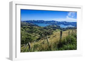 Beautiful Scenery around Akaroa Harbour-Michael-Framed Photographic Print