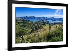 Beautiful Scenery around Akaroa Harbour-Michael-Framed Photographic Print