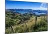 Beautiful Scenery around Akaroa Harbour-Michael-Mounted Photographic Print