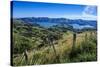 Beautiful Scenery around Akaroa Harbour-Michael-Stretched Canvas