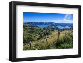 Beautiful Scenery around Akaroa Harbour-Michael-Framed Photographic Print