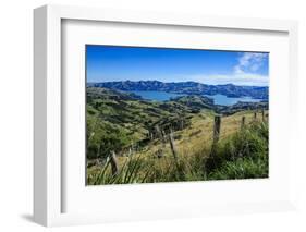 Beautiful Scenery around Akaroa Harbour-Michael-Framed Photographic Print