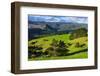 Beautiful Scenery in the Hinterland of Northland, North Island, New Zealand, Pacific-Michael Runkel-Framed Photographic Print