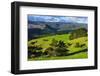 Beautiful Scenery in the Hinterland of Northland, North Island, New Zealand, Pacific-Michael Runkel-Framed Photographic Print