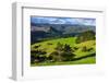 Beautiful Scenery in the Hinterland of Northland, North Island, New Zealand, Pacific-Michael Runkel-Framed Photographic Print