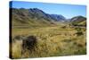 Beautiful Scenery on the Highway around the Lindis Pass, Otago, South Island, New Zealand, Pacific-Michael Runkel-Stretched Canvas