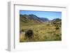 Beautiful Scenery on the Highway around the Lindis Pass, Otago, South Island, New Zealand, Pacific-Michael Runkel-Framed Photographic Print