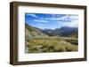 Beautiful Scenery on the Highway around the Lindis Pass, Otago, South Island, New Zealand, Pacific-Michael Runkel-Framed Photographic Print