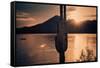 Beautiful Scenic Landscape with Saguaro Cactus Mountains and Sun Ray Flare.-BCFC-Framed Stretched Canvas