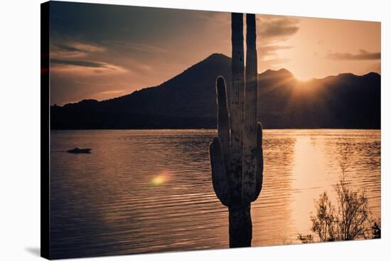 Beautiful Scenic Landscape with Saguaro Cactus Mountains and Sun Ray Flare.-BCFC-Stretched Canvas