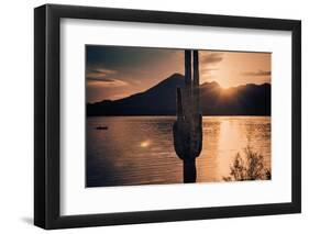 Beautiful Scenic Landscape with Saguaro Cactus Mountains and Sun Ray Flare.-BCFC-Framed Photographic Print