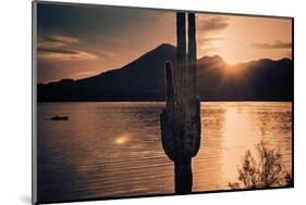 Beautiful Scenic Landscape with Saguaro Cactus Mountains and Sun Ray Flare.-BCFC-Mounted Photographic Print