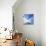 Beautiful Seascape Background. Element of Design-Oleh Honcharenko-Stretched Canvas displayed on a wall