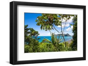 Beautiful Shot of Armacao Beach in Florianopolis, Santa Catarina, Brazil-Wirestock-Framed Photographic Print