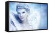 Beautiful Snow Queen-luckybusiness-Framed Stretched Canvas