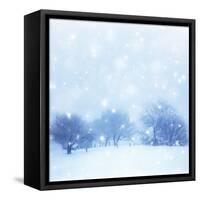 Beautiful Snowy Landscape-Anna Omelchenko-Framed Stretched Canvas