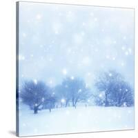 Beautiful Snowy Landscape-Anna Omelchenko-Stretched Canvas