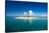 Beautiful South Sea island, Mamanuca Islands, Fiji, South Pacific-Michael Runkel-Stretched Canvas