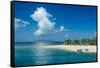 Beautiful South Sea island, Mamanuca Islands, Fiji, South Pacific-Michael Runkel-Framed Stretched Canvas