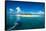 Beautiful South Sea island, Mamanuca Islands, Fiji, South Pacific-Michael Runkel-Framed Stretched Canvas