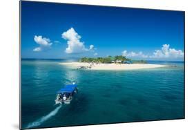 Beautiful South Sea island, Mamanuca Islands, Fiji, South Pacific-Michael Runkel-Mounted Photographic Print