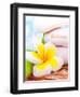 Beautiful Spa Still Life on the Beach, Spa Stones, Yellow Frangipani Flower, Tropical Resort, Summe-Anna Omelchenko-Framed Photographic Print