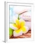 Beautiful Spa Still Life on the Beach, Spa Stones, Yellow Frangipani Flower, Tropical Resort, Summe-Anna Omelchenko-Framed Photographic Print