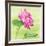 Beautiful Specimen of a Lotus Flower Nelumbo Elite Red with Open and Curled Leaf-Anyka-Framed Art Print