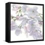 Beautiful Spring Crop-James Wiens-Framed Stretched Canvas