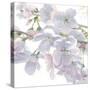 Beautiful Spring Crop-James Wiens-Stretched Canvas