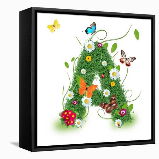 Beautiful Spring Letter "A"-Kesu01-Framed Stretched Canvas