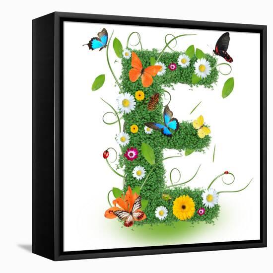 Beautiful Spring Letter "E"-Kesu01-Framed Stretched Canvas