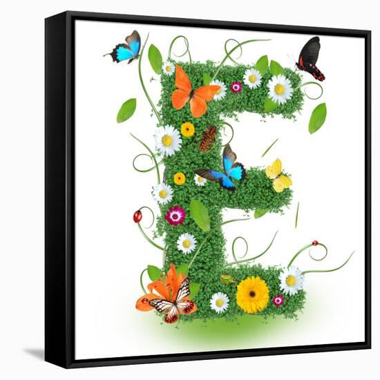 Beautiful Spring Letter "E"-Kesu01-Framed Stretched Canvas