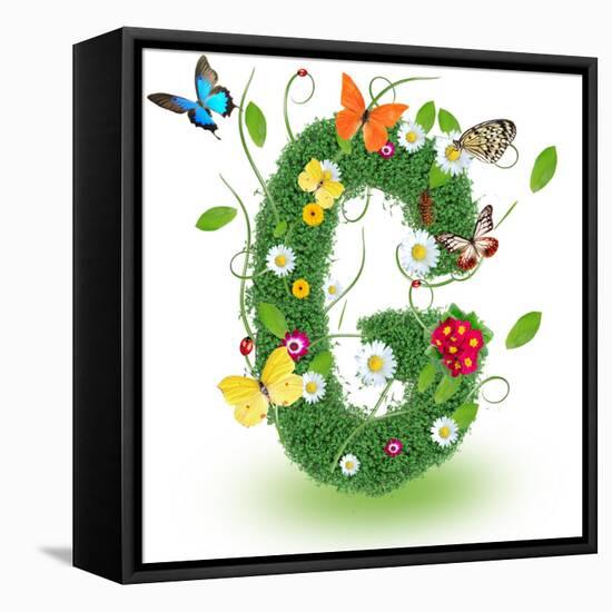 Beautiful Spring Letter "G"-Kesu01-Framed Stretched Canvas