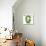 Beautiful Spring Letter "G"-Kesu01-Stretched Canvas displayed on a wall