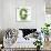 Beautiful Spring Letter "G"-Kesu01-Art Print displayed on a wall