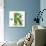 Beautiful Spring Letter "R"-Kesu01-Art Print displayed on a wall