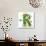 Beautiful Spring Letter "R"-Kesu01-Art Print displayed on a wall