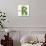 Beautiful Spring Letter "R"-Kesu01-Stretched Canvas displayed on a wall